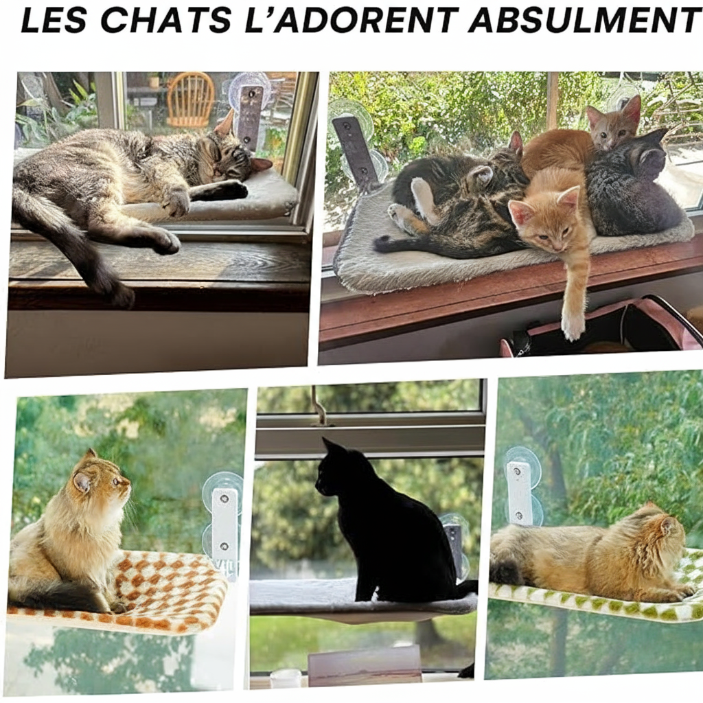Perchoir de Fenêtre NUAGEON™ — Hamac Vue & Soleil pour Chat