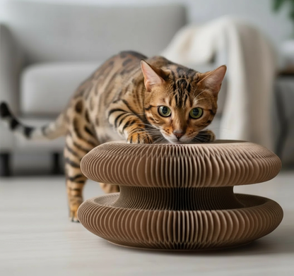 Griffoir Interactif NUAGEON™ — Jeu & Griffades pour Chat