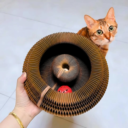 Griffoir Interactif NUAGEON™ — Jeu & Griffades pour Chat
