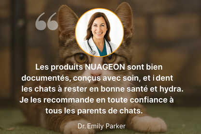 Fontaine NUAGEON™ — Fontaine à Eau pour Chat en Acier Inoxydable