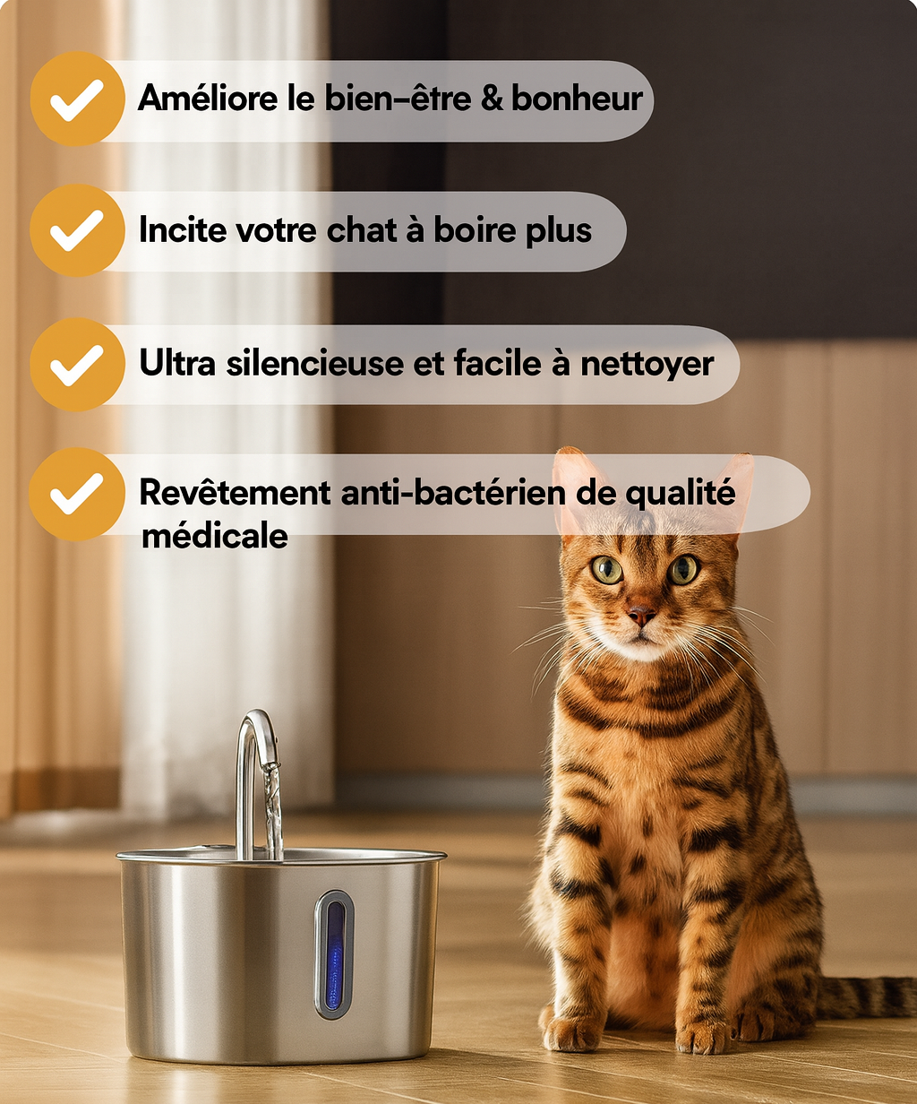 Fontaine NUAGEON™ — Fontaine à Eau pour Chat en Acier Inoxydable