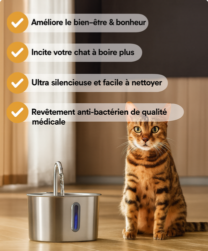 Fontaine NUAGEON™ — Fontaine à Eau pour Chat en Acier Inoxydable