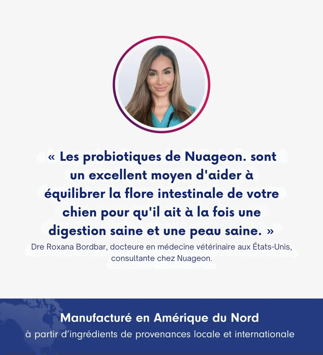 Probiotic Chew+ NUAGEON™ — Friandises Digestion & Immunité