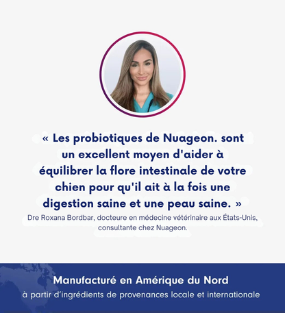 Probiotic Chew+ NUAGEON™ — Friandises Digestion & Immunité