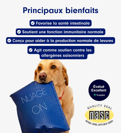 Probiotic Chew+ NUAGEON™ — Friandises Digestion & Immunité