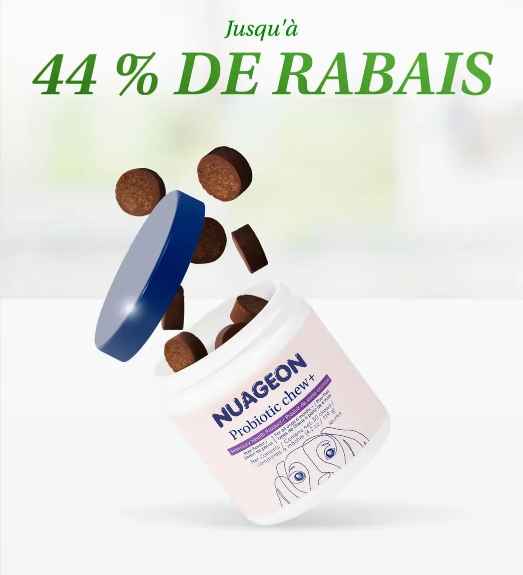 Probiotic Chew+ NUAGEON™ — Friandises Digestion & Immunité