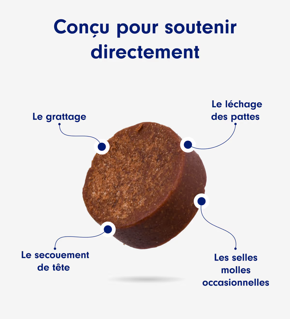 Probiotic Chew+ NUAGEON™ — Friandises Digestion & Immunité