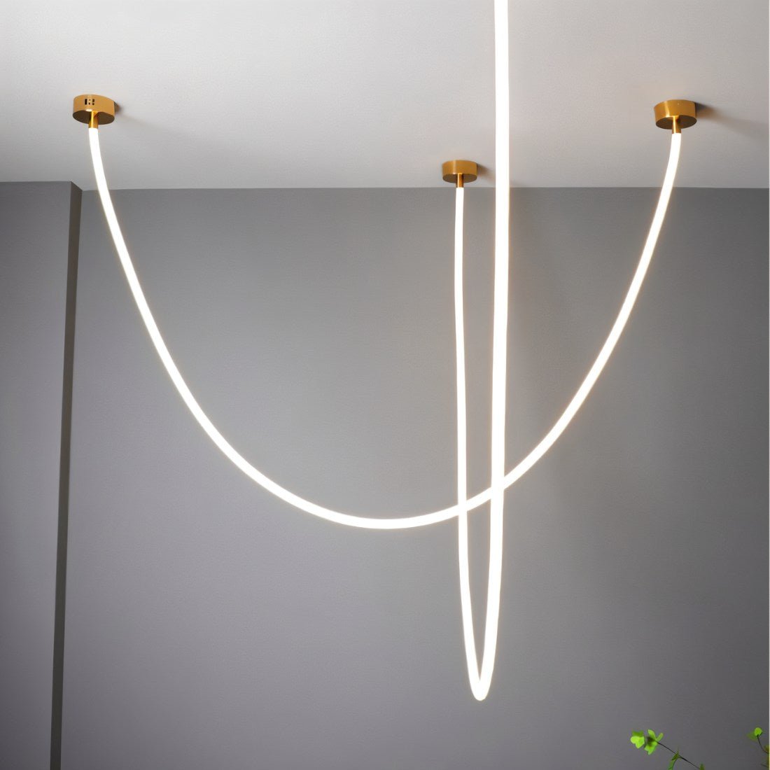 Lustre Mimosa