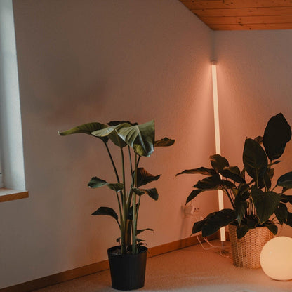 Lampadaire Camélia