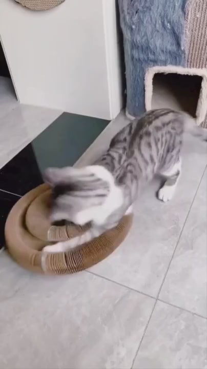 Griffoir Interactif NUAGEON™ — Jeu & Griffades pour Chat